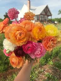 Fresh & beautiful flowers online. The Flower Podcast