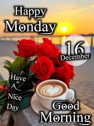 🌹BEAUTIFUL ROSE🌹