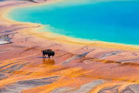 As proud stewards of the park and this truly extraordinary american. The Truth About Tourism In Yellowstone Rough Guides Rough Guides
