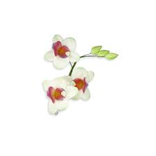 Voir plus d'idées sur le thème fleurs en papier, rose en ruban, fleur en ruban. Bouquet De Fleurs Pastillage Orchidees Blanches 12 Cm Deco Wedding Cake Cerf Dellier