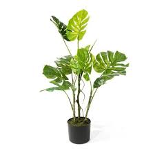 Monstera Floor Plant In Pot The Seasonal Aisle Plants Hanging Flowering Plants Faux Plants
