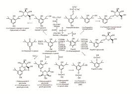Image result for Fospropofol