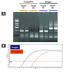 Protocol, rna, cdna, dna, genotyping, gene expression. Truscript First Strand Cdna Synthesis Kit 50 Reactions