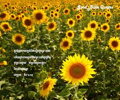 Librivox is a hope, an experiment, and a question: Aesthetic Sunflower Wallpaper With Bible Verses Novocom Top