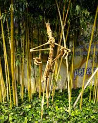 We did not find results for: Slimthestickinsect Hashtag On Twitter
