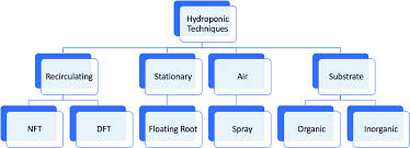 Dalam hal penggunaan pipa paralon pvc, biasanya pipa yang digunakan berukuran antara 2,5inchi hingga 4 inchi. A Monitoring System For Lettuce Cultivation In An Nft Hydroponic System A Case Study Springerlink