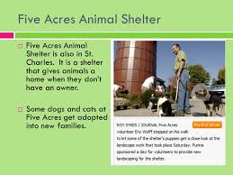 Check spelling or type a new query. Homeless Pets In Our Country Facts About U S Animal Shelters There Are About 5 000 Community Animal Shelters Nationwide That Are Independent Like Ppt Download
