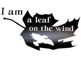 For several generations of pilots the cub was the first plane they'd fly. Quotes About Leaves In The Wind 59 Quotes