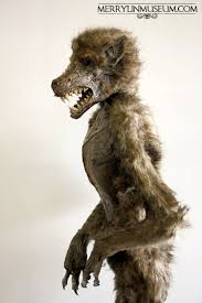 Specimens Merrylin Cryptid Museum Weird Creatures Museum Dogman Encounters