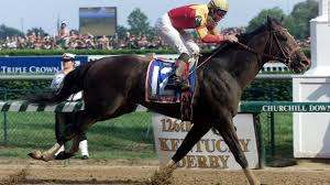 Also many us racetracks are providing live coverage of their races on their websites. The Most Expensive Horses In The World Go For Tens Of Millions Cnn Style