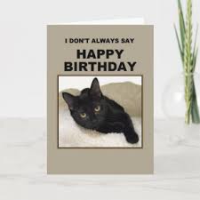 Our kitten birthday card is popular with all ages! Gxq0ajwflua86m