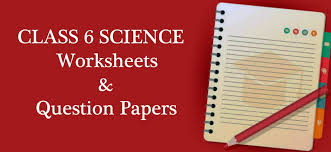 Cbse Class 6 Science Syllabus Worksheets And Question Papers Science Worksheets Question Paper Sample Question Paper