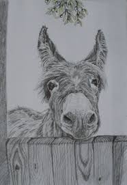 Christmas Greetings Card Donkey Under The Mistletoe Taken From My Pencil Drawing With Mistletoe In Watercolou Donkey Drawing Animal Drawings Animal Paintings