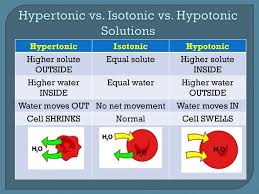 Tonicity Hypotonic Hyertonic Isotonic Solutions In 2020 Nursing School Survival Nursing School Notes Nursing School Organization