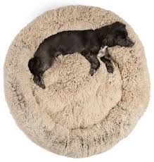 Maybe you would like to learn more about one of these? The Original Calming Dog Bed