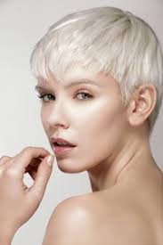 Ich habe für euch mein ansatz stepp bei stepp blondiert. Silbershampoo Test 2021 Blonde Weisse Graue Haare