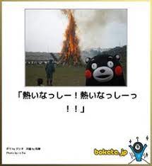 死ぬわけねーだろ 子どもの質問に毒舌をかます多摩動物公園の解説キャラ モグラ先輩 が笑えるww irorio イロリオ すき pinterest