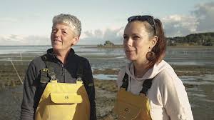 Aux Filles Des Marees Golfe Du Morbihan Vannes Tourisme