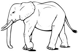 Bukan karena ada sketsa gajah nya lho, tapi karena motif bunga nya yang menyerupai belalai gajah. Gambar Gajah Hitam Putih Inhu Lc