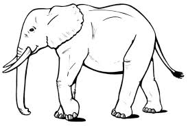 Bunga binatang pemandangan buah tersedia gratis untuk didownload. Lukisan Gajah Hitam Putih Cikimm Com