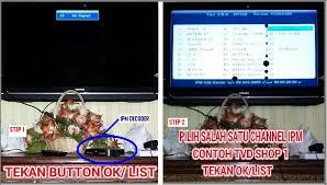 Antara punca masalah signal astro kurang power & tidak berkualiti. Cara Dapatkan Siaran Tv Guna Piring Astro