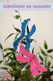 Des Libellules Avec Des Samares Cabane A Idees Libellule Bricolage Automne Jeux D Automne