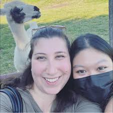 Lost Dog Ella in Dover-Crystal Neighborhood, Arlington