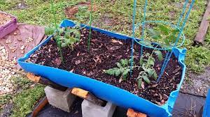 Preparing a container for planting begin container gardening by choosing fertile soil that will fill a vessels of your choice. Easy Cheap Diy Vegetable Container Garden Ep 63 Youtube