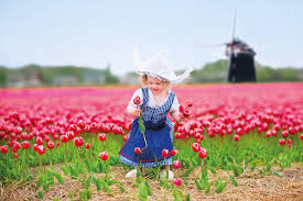 Jahrhundert versetzte sie die holländer selbst in einen wahren rausch. Tulpenblute Holland