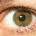 What Color Are Your Eyes Exactly