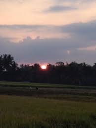 Jika anda mencari gambar pemandangan kampung halloween lukisan kampun halaman, maka rebanas mempunyai banyak koleksi gambar seperti gambar pemandangan kampung halaman. Kangen Suasana Sore Di Kampung Halaman Fotografi Mi Community Xiaomi