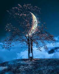 Pin By Yildirim On عکس پروفایل پسرانه Artwork Images Nature Photography Photo Art