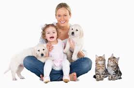 House owner want to get rid of these as soon as possible without wasting much time. Natural And Organic Pest Control Products Bug Control Do It Yourself Pest Control