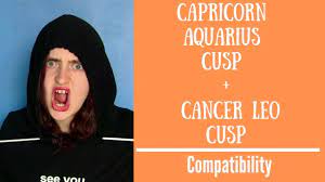 The 7th house descendant or on the cusp of the 7th house descendant. Capricorn Aquarius Cusp Cancer Leo Cusp Compatibility Youtube