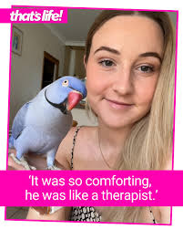 Parrot Morning Routine: Enjoy Snuggles and Cuddles with Hamlet