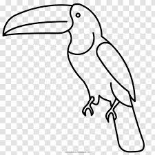 Toucan coloring pages suitable for toddlers, preschool and kindergarten kids. Beak Bird Drawing Toucan Coloring Book Monochrome Transparent Png