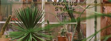 Cactus photographs from expeditions of the public. Inside Los Angeles Legendary Cactus Store