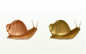 Nähen sie gerne, einfach und schnell! Schnecken Kosmetische Werbung Vorlage Kostenlose Vektor
