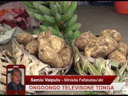 Na'a mou o mai anenai? Tongan Potato Tonga On Thanksgiving Day We Had A Great Feast We Had Check Potato Translations Into Tongan