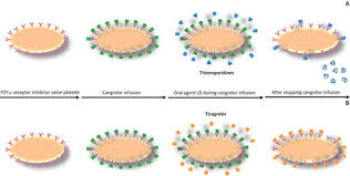 Image result for Cangrelor