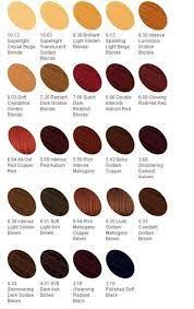 image result for hicolor hilights color chart hair color