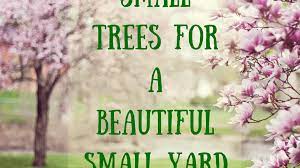 We did not find results for: 39 Small Trees Under 30 Feet For A Small Yard Or Garden Dengarden