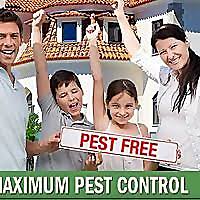 Sick of feeling uncomfortable in your own house? Top 100 Pest Control Blogs Websites Influencers In 2021