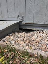 How do I know if something is *currently* under my shed? I want to fill in  this hole with more rocks but don't want to trap (and kill) anything that  might be