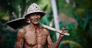 Untuk meningkatkan pemahaman dalam menghadapi ulangan harian atau ujian sekolah, kamu bisa belajar contoh soal tema 1 kelas 4. Soal Ulangan Harian Kelas 4 Tema 1 Subtema 2 Rifanfajrin Com