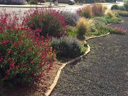 Here's how to create a xeriscape garden. Xeriscaping In Santa Fe Mccumber Fine Gardens