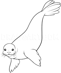 How To Draw A Seal Step By Step Drawing Guide By Dawn Dragoart Com How to draw a seal pup (harp seal). how to draw a seal step by step