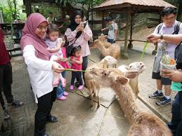 Jika ingin berkunjung ke dua tempat wisata. Farm In The City Seri Kembangan Iman Abdul Rahim