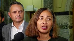 Marama Davidson speaks after Opposition demands apology for 'white cis men'  comment