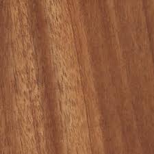 Image result for Khaya